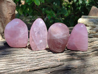 Polished Rose Quartz Standing Free Form x 4 From Madagascar