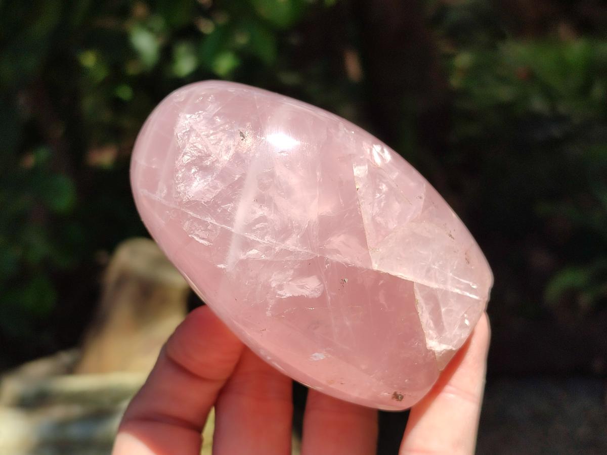 Polished Rose Quartz Standing Free Form x 4 From Madagascar