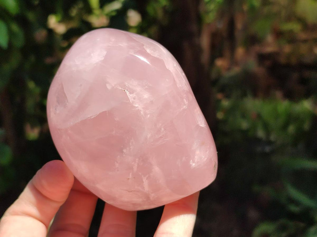 Polished Rose Quartz Standing Free Form x 4 From Madagascar