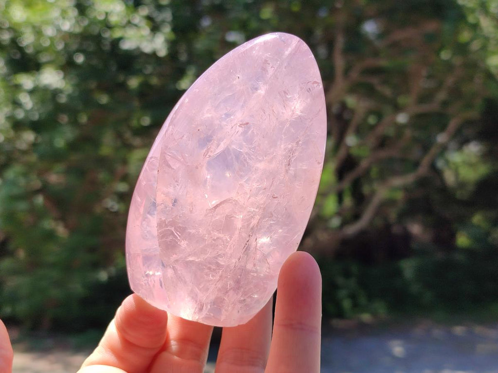Polished Rose Quartz Standing Free Form x 4 From Madagascar