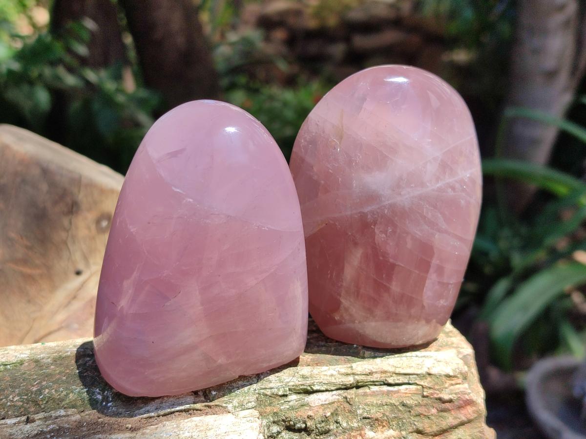 Polished Rose Quartz Standing Free Form x 4 From Madagascar