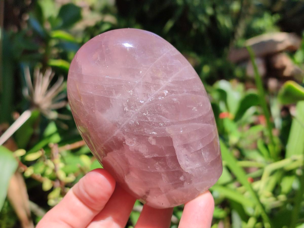 Polished Rose Quartz Standing Free Form x 4 From Madagascar