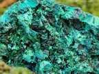 Natural Silky Malachite Specimens x 3 From Kasompe, Congo