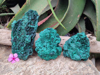 Natural Silky Malachite Specimens x 3 From Kasompe, Congo