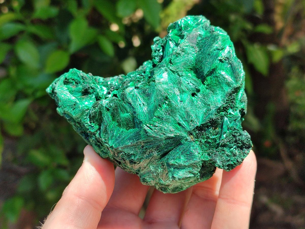 Natural Silky Malachite Specimens x 3 From Kasompe, Congo