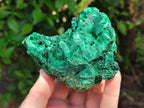 Natural Silky Malachite Specimens x 3 From Kasompe, Congo