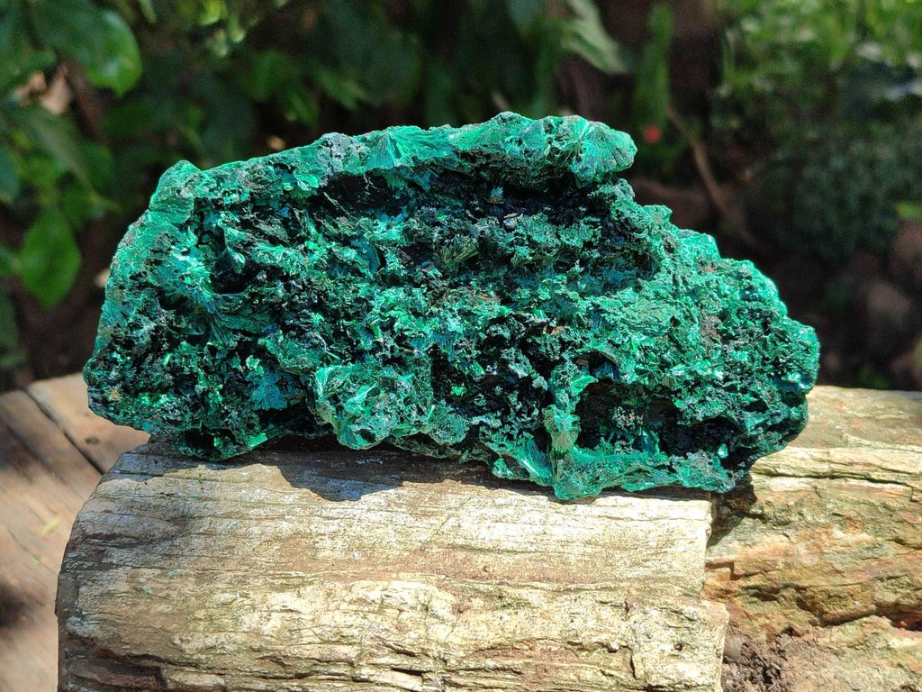 Natural Silky Malachite Specimens x 3 From Kasompe, Congo