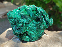 Natural Silky Malachite Specimens x 3 From Kasompe, Congo