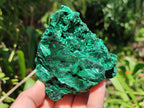 Natural Silky Malachite Specimens x 3 From Kasompe, Congo