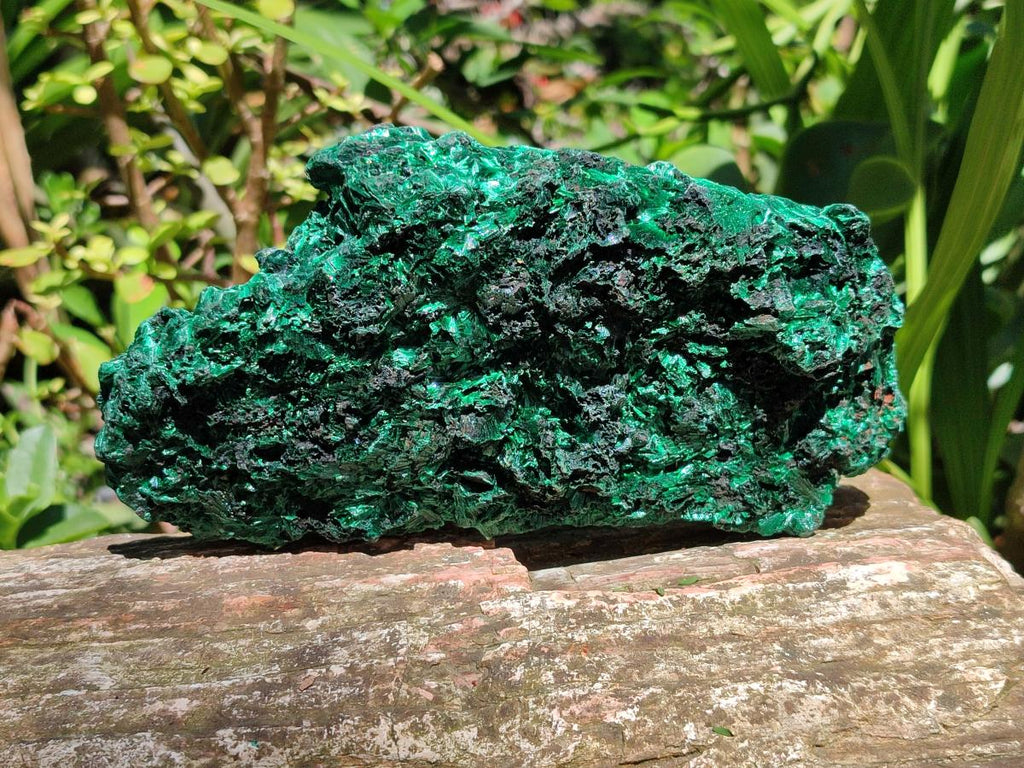 Natural Silky Malachite Specimens x 3 From Kasompe, Congo