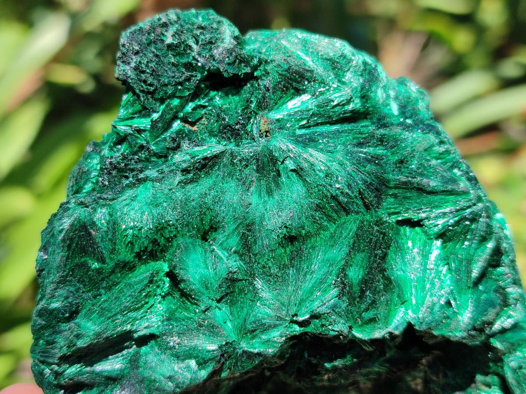 Natural Silky Malachite Specimens x 3 From Kasompe, Congo