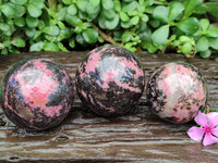Polished Rhodonite Spheres x 4 From Ambindavato, Madagascar