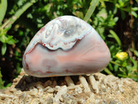 Polished Red Shashe River Agate Free Forms x 12 From Zimbabwe