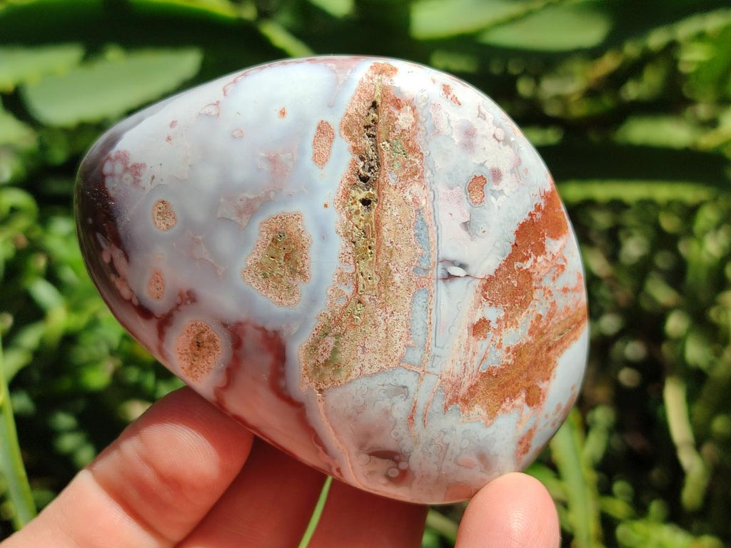 Polished Red Shashe River Agate Free Forms x 12 From Zimbabwe