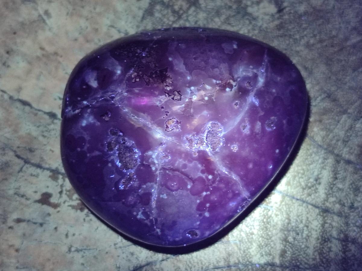 Polished Red Shashe River Agate Free Forms x 12 From Zimbabwe