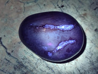 Polished Red Shashe River Agate Free Forms x 12 From Zimbabwe