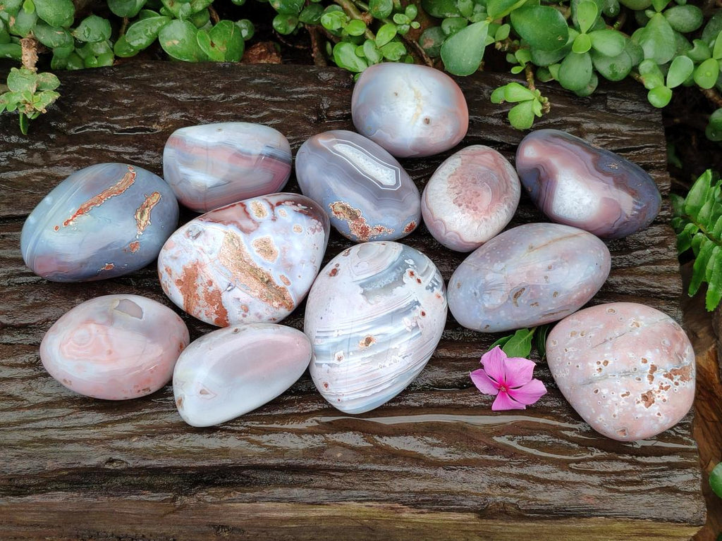 Polished Red Shashe River Agate Free Forms x 12 From Zimbabwe