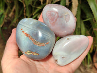 Polished Red Shashe River Agate Free Forms x 12 From Zimbabwe