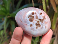 Polished Red Shashe River Agate Free Forms x 12 From Zimbabwe