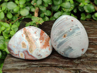 Polished Red Shashe River Agate Free Forms x 12 From Zimbabwe