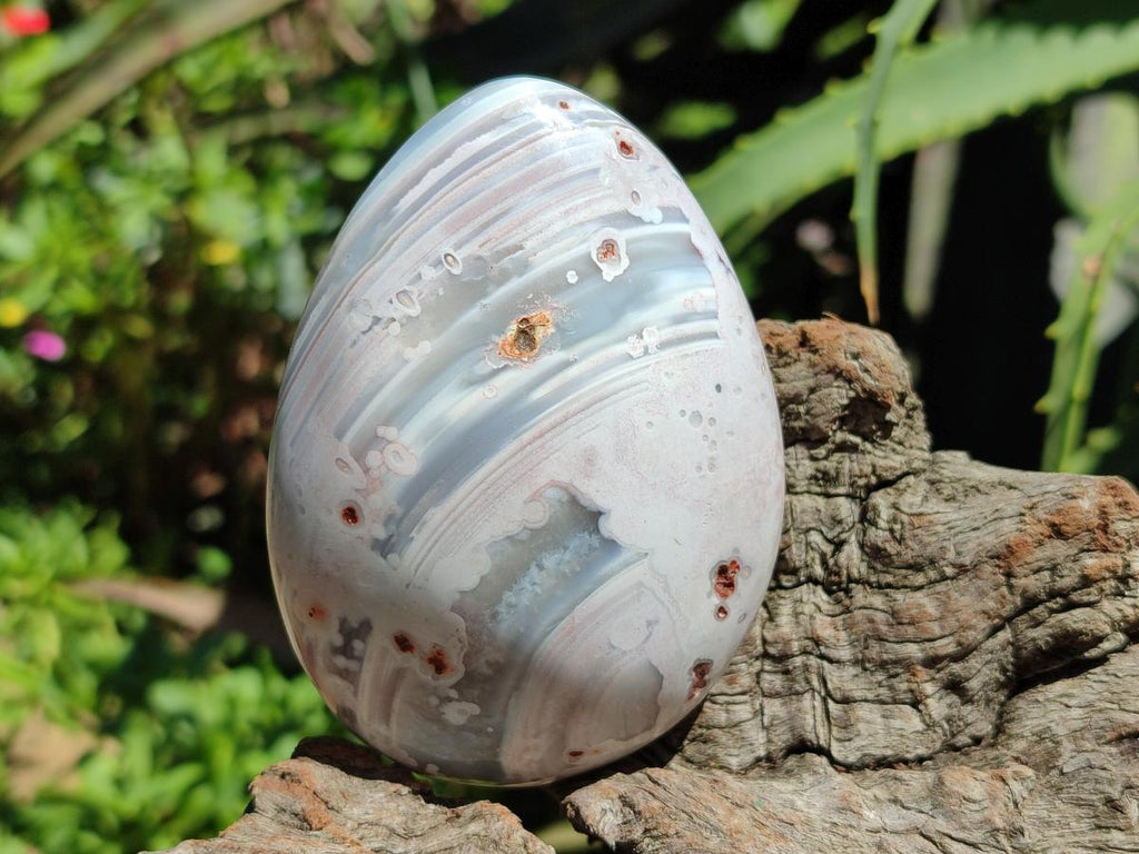 Polished Red Shashe River Agate Free Forms x 12 From Zimbabwe