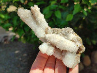 Natural Drusy Quartz Coated Calcite Pseudomorph Specimens x 3 From Albert's Mountain, Lesotho