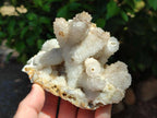 Natural Drusy Quartz Coated Calcite Pseudomorph Specimens x 3 From Albert's Mountain, Lesotho