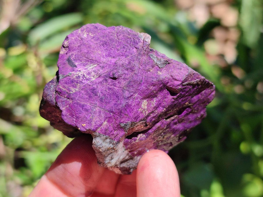 Natural Metallic Purpurite Specimens x 12 From Erongo, Namibia