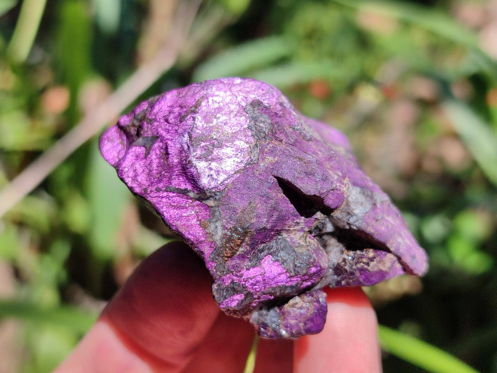 Natural Metallic Purpurite Specimens x 12 From Erongo, Namibia