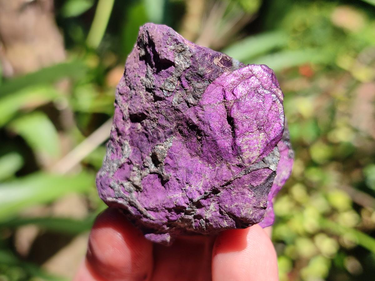 Natural Metallic Purpurite Specimens x 12 From Erongo, Namibia