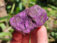 Natural Metallic Purpurite Specimens x 12 From Erongo, Namibia