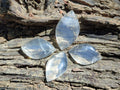 Polished Small Clear Girasol Quartz Crystal Angel Tears x 35 From Madagascar