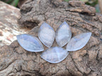 Polished Small Clear Girasol Quartz Crystal Angel Tears x 35 From Madagascar