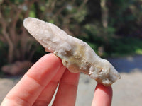Natural Drusy Quartz Coated Spearhead Calcite Specimens x 35 From Albert's Mountain, Lesotho