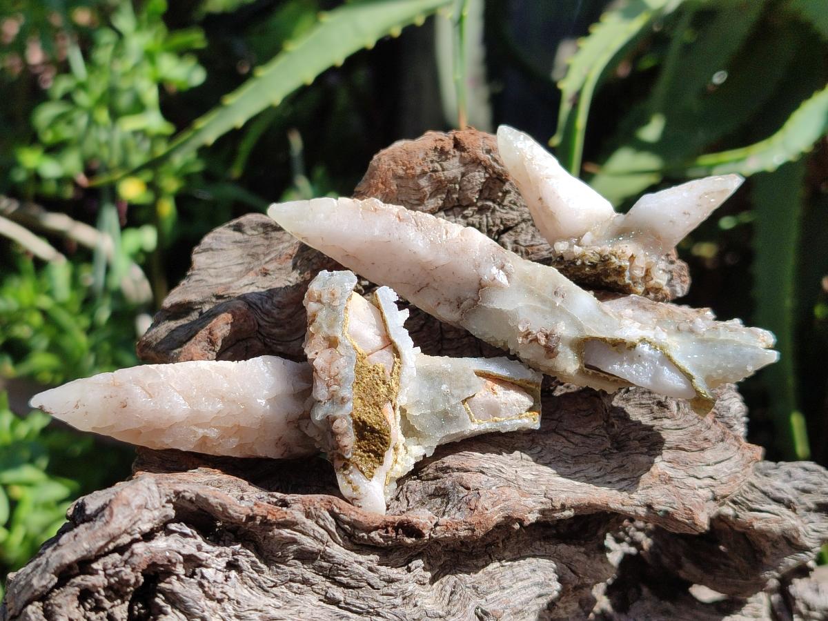 Natural Drusy Quartz Coated Spearhead Calcite Specimens x 35 From Albert's Mountain, Lesotho