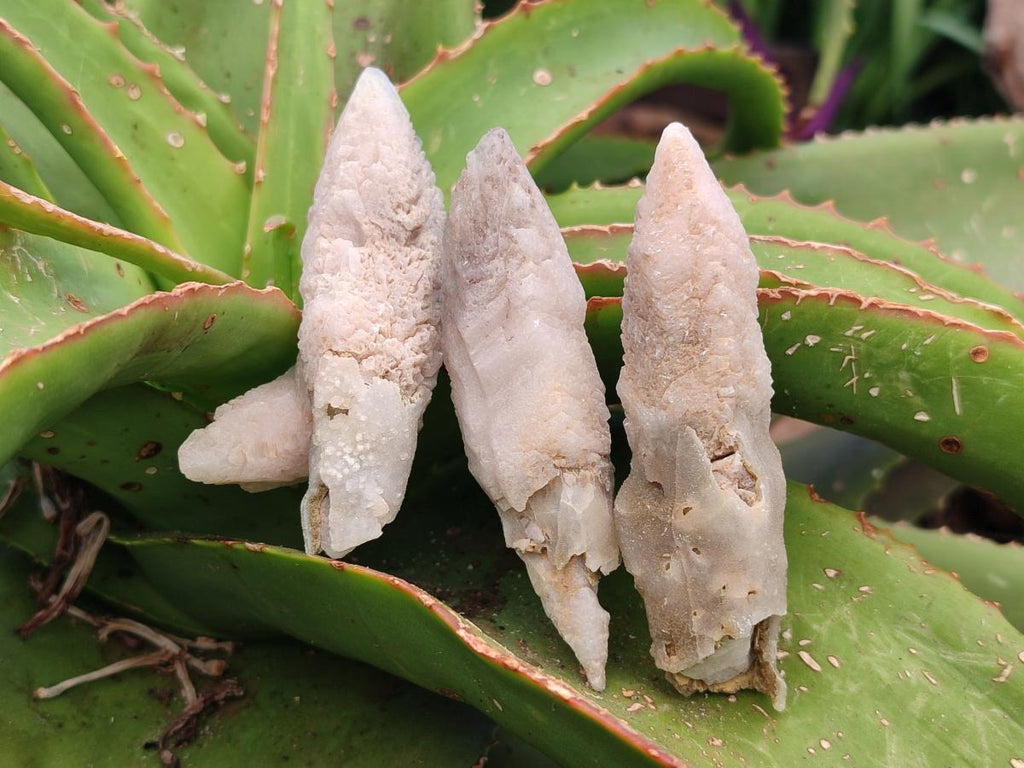 Natural Drusy Quartz Coated Spearhead Calcite Specimens x 35 From Albert's Mountain, Lesotho