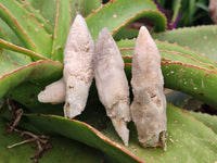Natural Drusy Quartz Coated Spearhead Calcite Specimens x 35 From Albert's Mountain, Lesotho