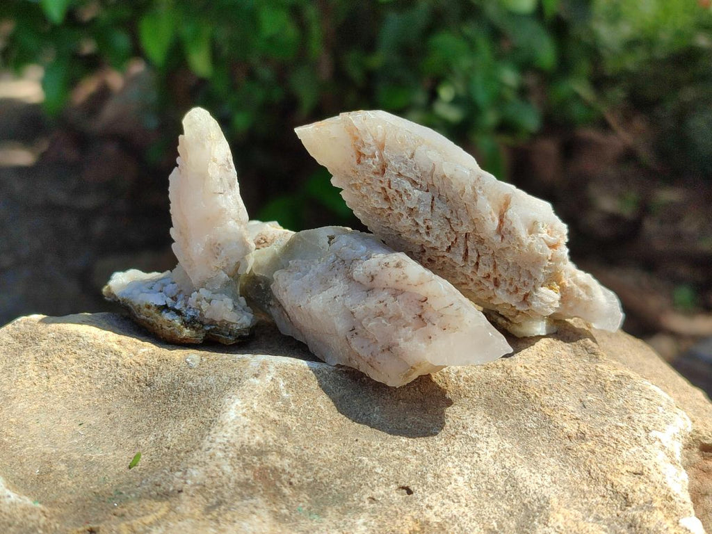 Natural Drusy Quartz Coated Spearhead Calcite Specimens x 35 From Albert's Mountain, Lesotho
