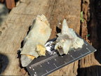 Natural Drusy Quartz Coated Spearhead Calcite Specimens x 35 From Albert's Mountain, Lesotho