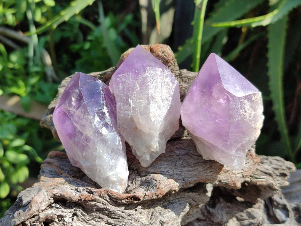 Polished Jacaranda Amethyst Single Crystals x 12 From Mumbwa, Zambia