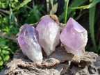 Polished Jacaranda Amethyst Single Crystals x 12 From Mumbwa, Zambia