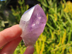 Polished Jacaranda Amethyst Single Crystals x 12 From Mumbwa, Zambia