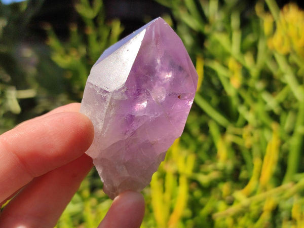 Polished Jacaranda Amethyst Single Crystals x 12 From Mumbwa, Zambia