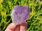 Polished Jacaranda Amethyst Single Crystals x 12 From Mumbwa, Zambia