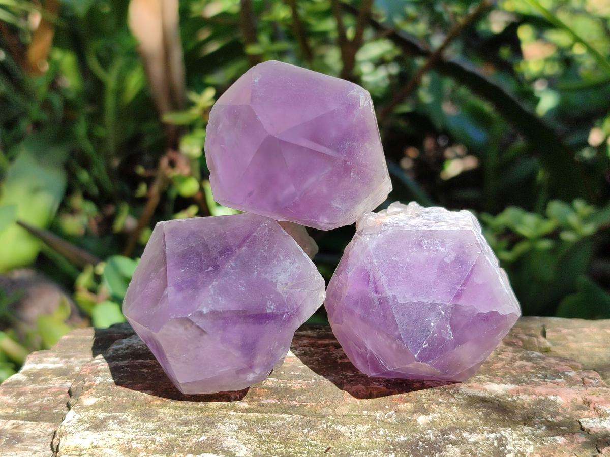 Polished Jacaranda Amethyst Single Crystals x 12 From Mumbwa, Zambia