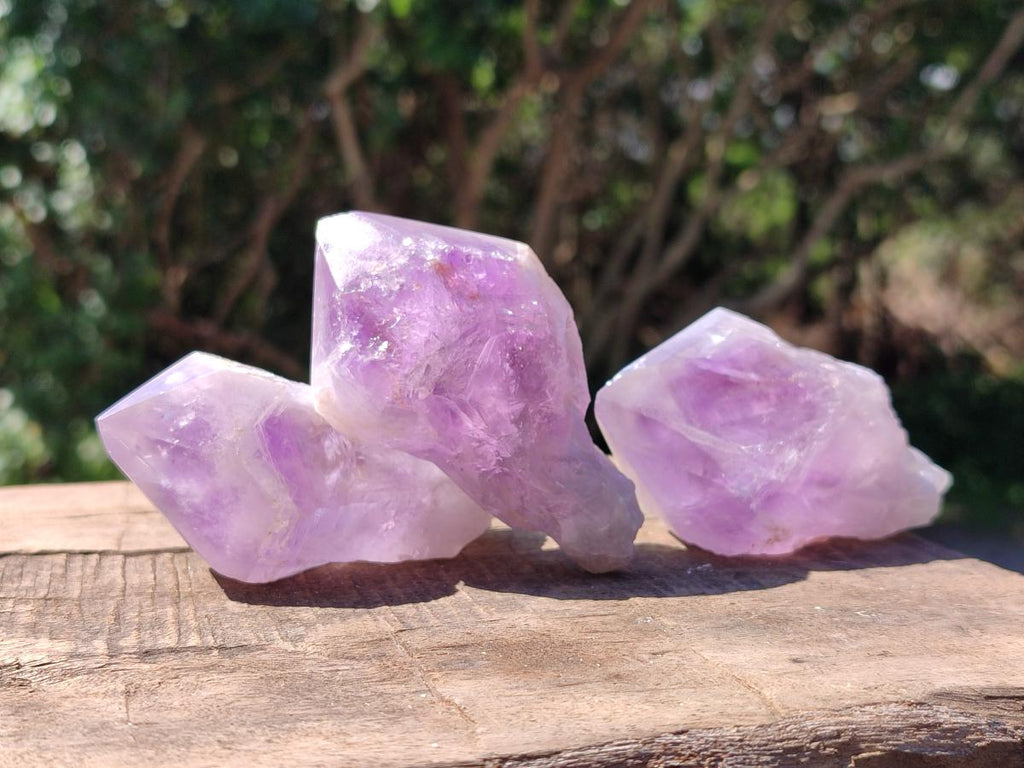 Polished Jacaranda Amethyst Single Crystals x 12 From Mumbwa, Zambia