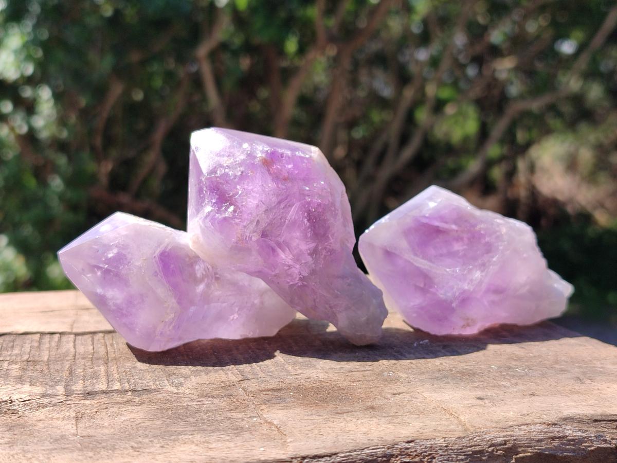 Polished Jacaranda Amethyst Single Crystals x 12 From Mumbwa, Zambia