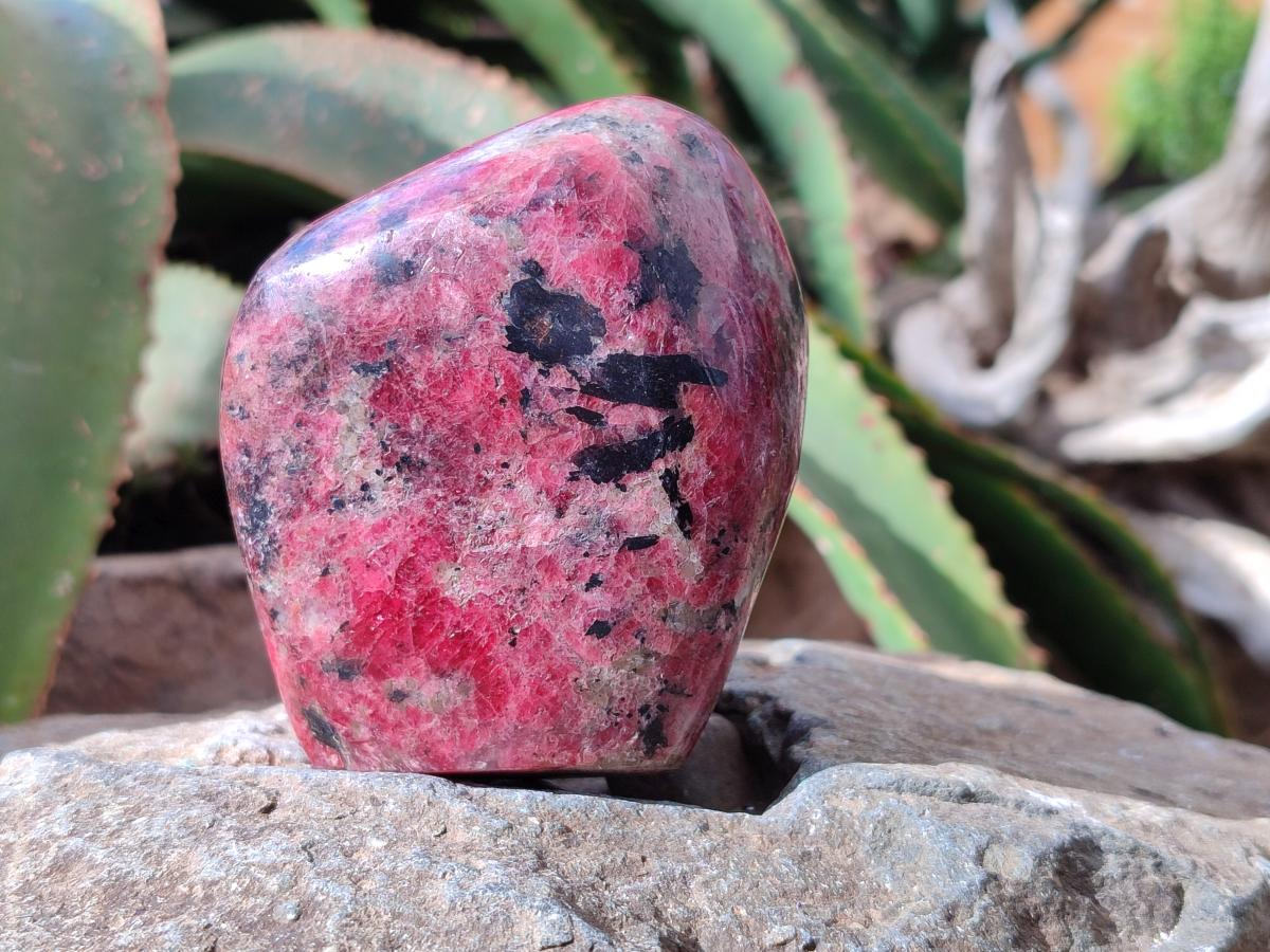 Polished Rhodonite Standing Free Forms x 2 From Rhusinga, Zimbabwe