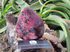 Polished Rhodonite Standing Free Forms x 2 From Rhusinga, Zimbabwe