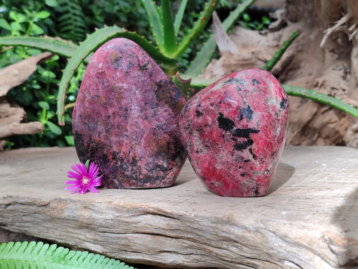 Polished Rhodonite Standing Free Forms x 2 From Rhusinga, Zimbabwe
